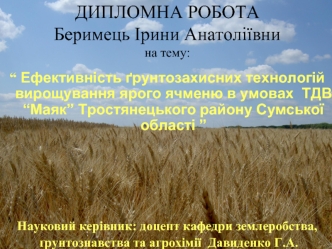 Ефективність ґрунтозахисних технологій вирощування ярого ячменю в умовах ТДВ “Маяк” Тростянецького району Сумської області