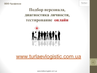 www.turlaevlogistic.com.ua