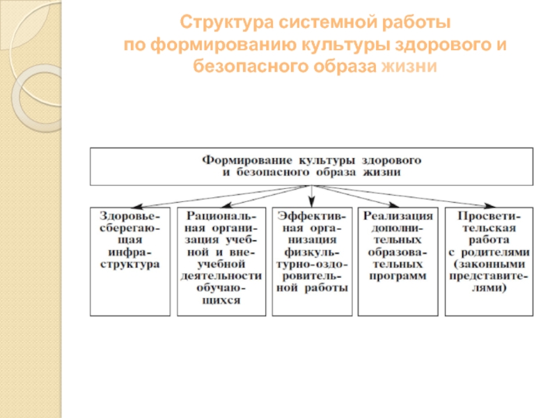 Культура безопасного образа жизни. Формы формирования культуры здорового. Программа формирования культуры и безопасного образа жизни по ФГОС. Проект по развитию культуры. Цели и задачи формирования культурного и безопасного образа жизни.