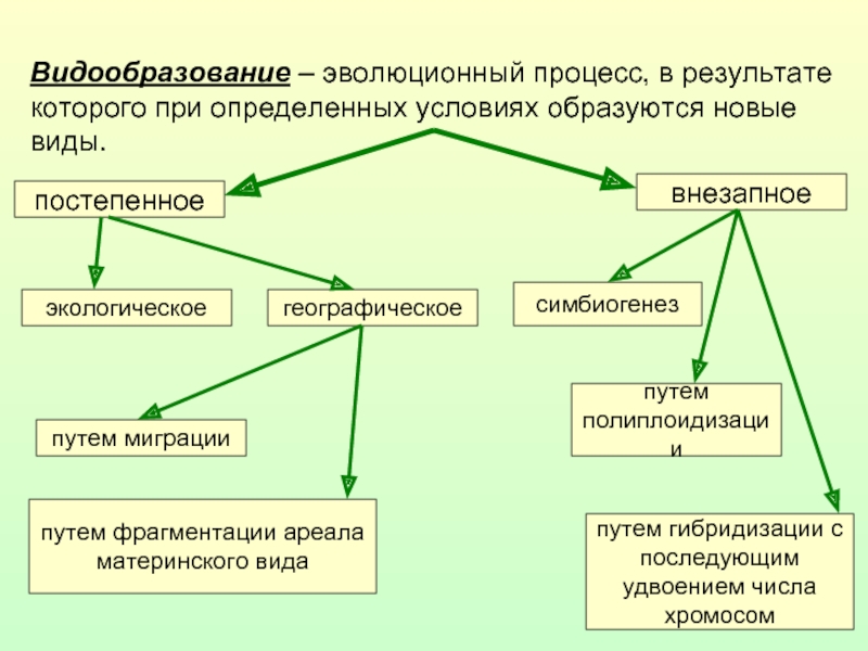 Схема факторов эволюции