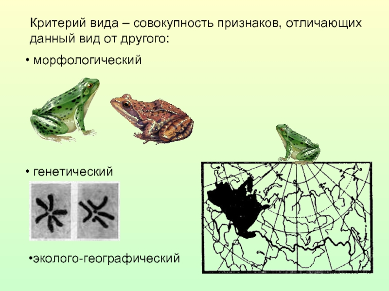 Географические признаки в биологии 5 класс