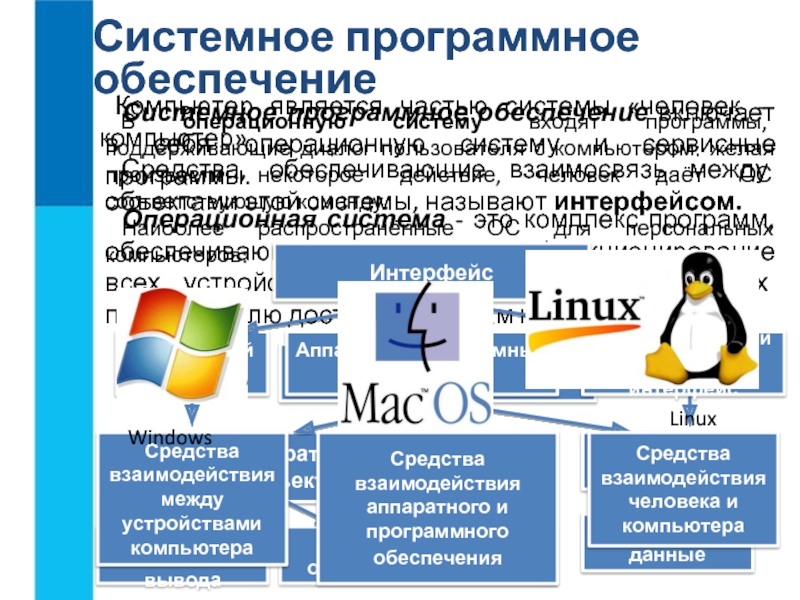 Доклад: Виды программного обеспечения, операционной система