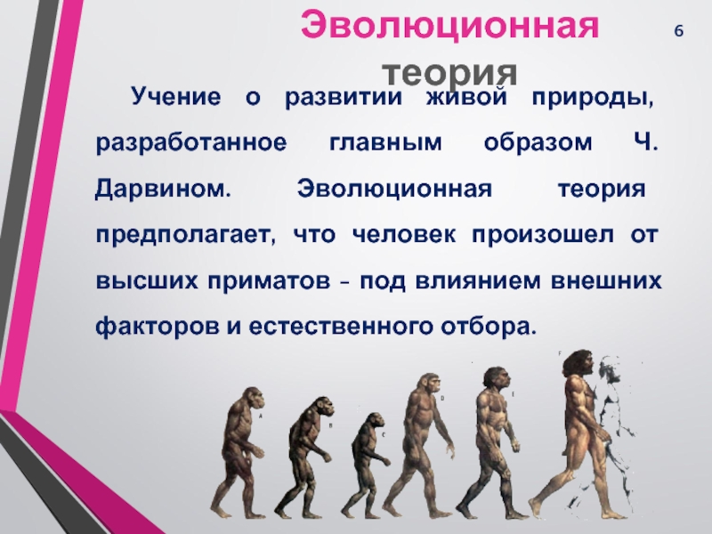 Эволюционное учение