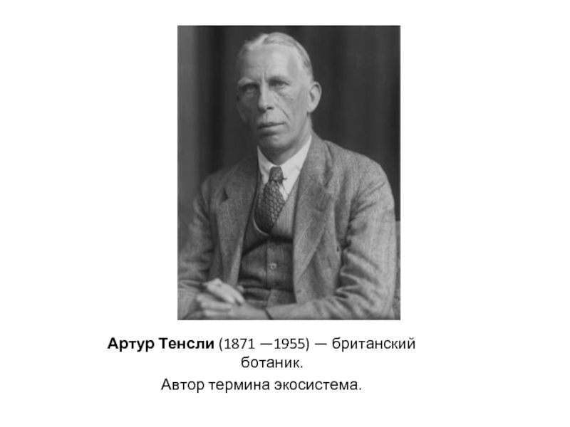 Термин автор