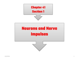 Neurons and nerve impulses. (Chapter 41. Section 1)