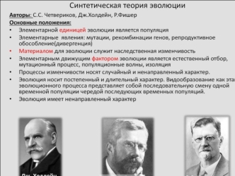 Синтетическая теория эволюции