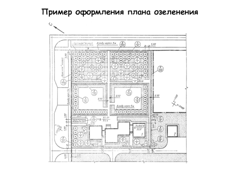 Оформление плана. План озеленения кабинета в школе образец.