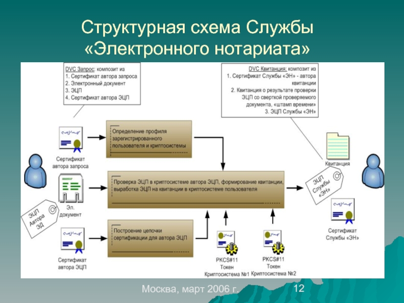 Структура нотариата схема