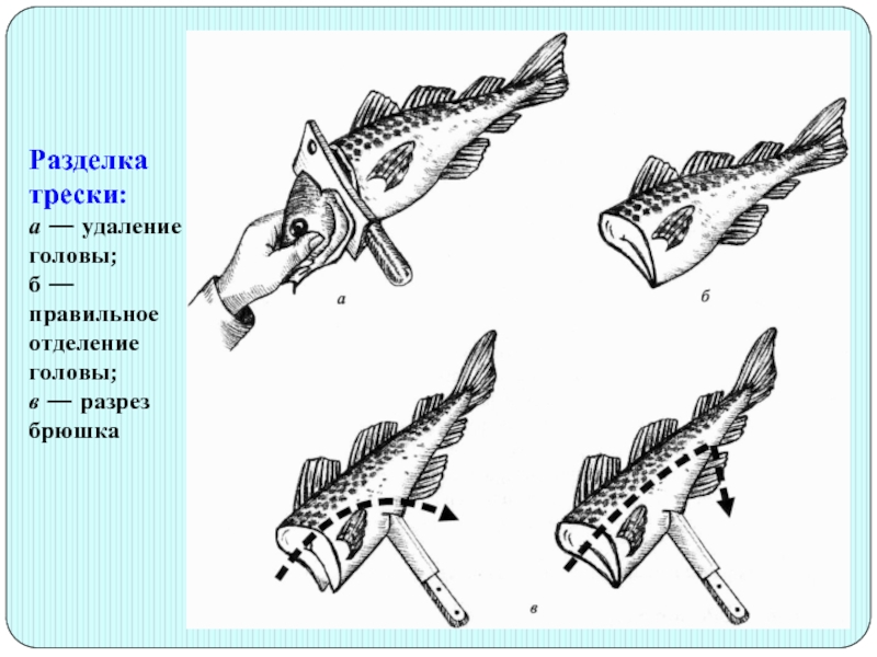 Разделка рыбы картинки