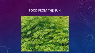 Food from the sun