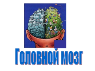 Головной мозг