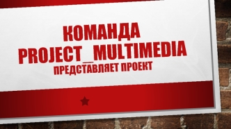 Команда Project Multimedia, проект 