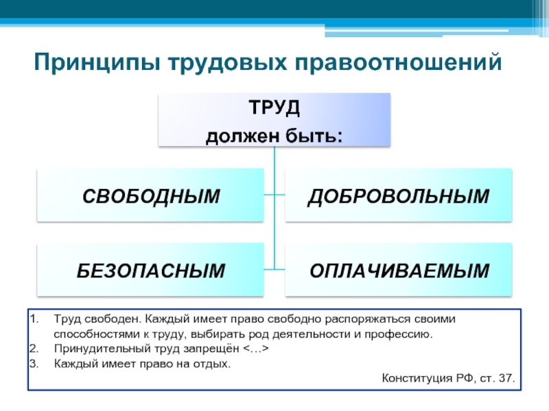 Свободно распоряжаться своими способностями. Принципы трудовых правоотношений. Источники трудовых правоотношений. Понятие и принципы трудового права. Трудовые правоотношения. Нормы трудового права примеры.