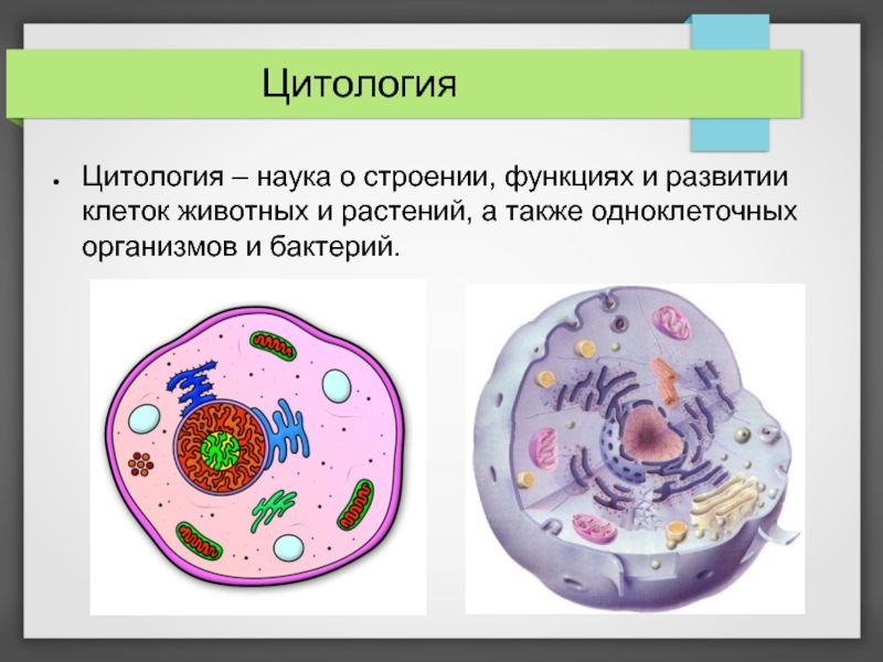 Методы изучения жизнедеятельности клетки 5 класс план сообщения