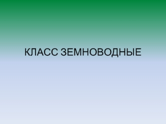 Класс Земноводные