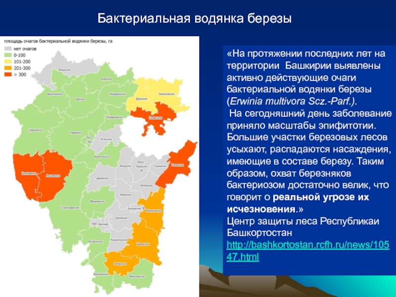 Вопросы башкирии. Территория Башкортостана. Башкирия на карте России. Нерешенные территориальные вопросы. Территориальный вопрос.