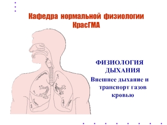 Физиология дыхания. Внешнее дыхание и транспорт газов кровью