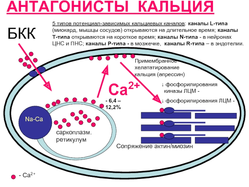 Канал действия