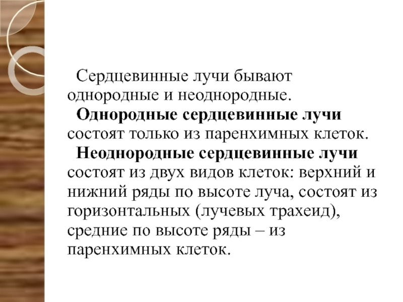 Сердцевинные лучи древесины. Сердцевинные лучи у хвойных пород. Сердцевинные лучи функции. Сердцевинные лучи строение и функции. Сердцевинные лучи состоят из.