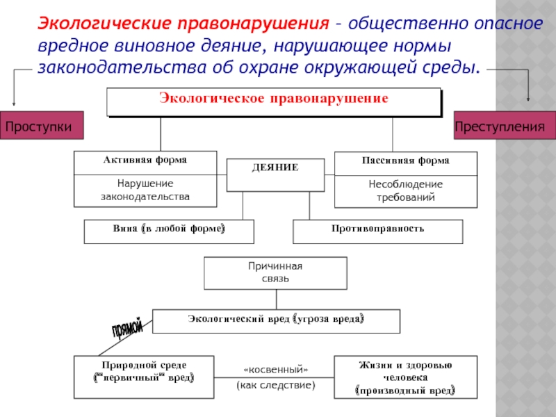 Экологическое преступление это