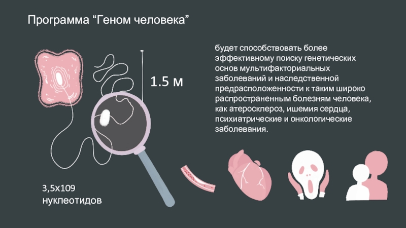 Мировой проект геном человека