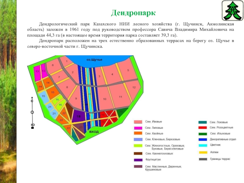 Дендропарк новосибирск карта