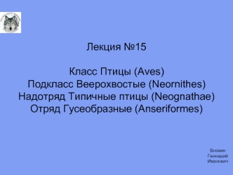 Класс Птицы (Aves). Подкласс Веерохвостые (Neornithes.). Надотряд Типичные птицы (Neognathae). Отряд Гусеобразные (Anseriformes)