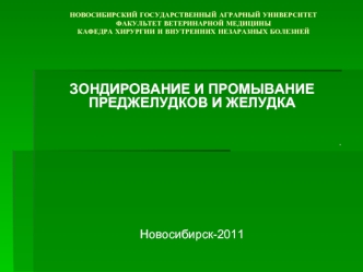 Зондирование и промывание преджелудков и желудка