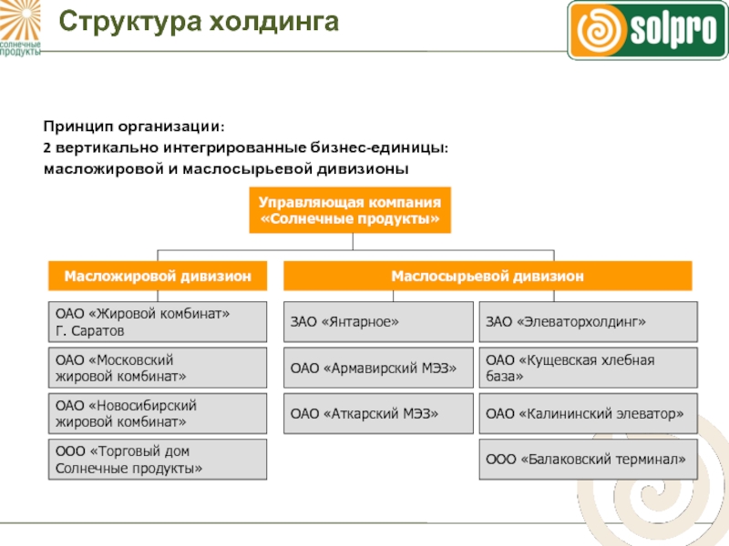 Структура холдинга схема