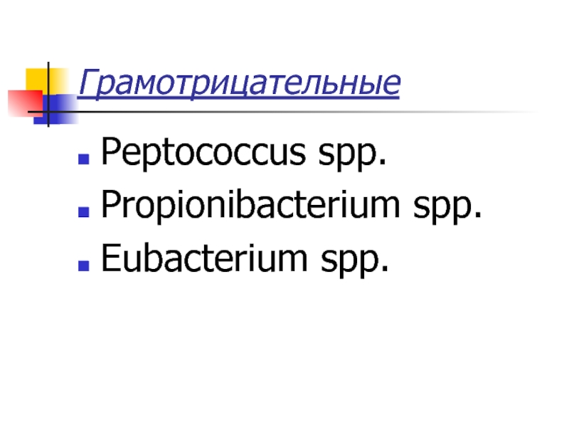 Eubacterium spp. Эубактериум СПП. Эубактериум СРР. 