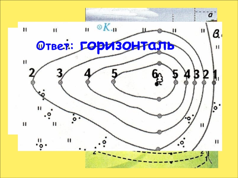 Горизонталь 4. Нахождение высот по горизонталям. Что такое горизонтали в географии 5 класс. Пологий склон по горизонталям. Что такое горизонталь в географии 6 класс.