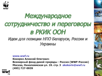 Международное  сотрудничество и переговоры в РКИК ООНИдеи для позиции НПО Беларуси, России и Украины