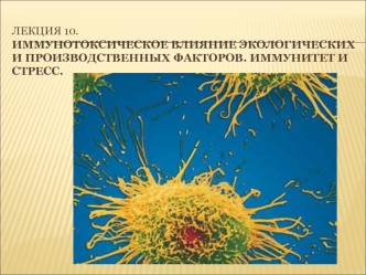 Иммунотоксическое влияние экологических и производственных факторов. Иммунитет и стресс