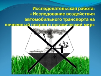 Исследовательская работа: Исследование воздействия автомобильного транспорта на почвенный покров и органический мир