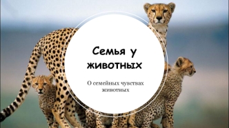 Семья у животных. О семейных чувствах животных