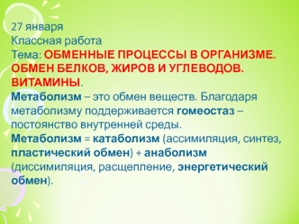 Обменные процессы в организме. Обмен белков, жиров и углеводов. Витамины