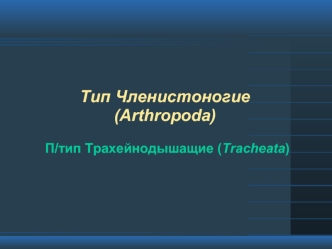 Тип Членистоногие (Arthropoda). Класс Скрыточелюстные насекомые (Insecta - Entognatha)