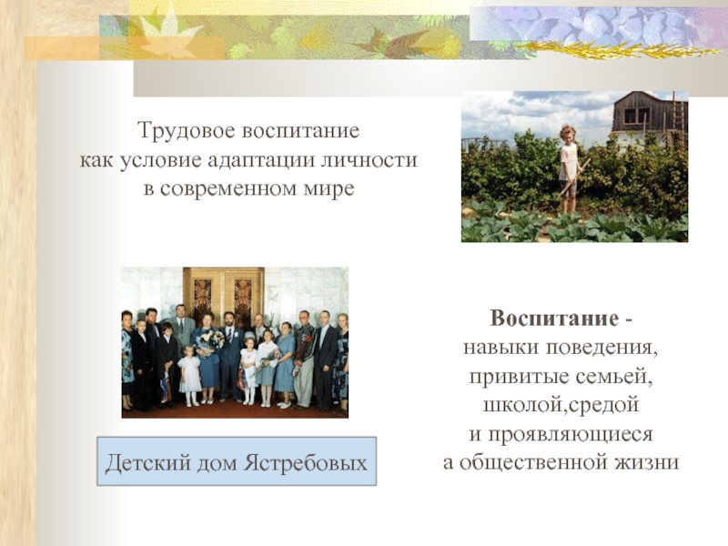 Трудовое воспитание в современной школе. Навыки поведения привитые школой семьёй средой.