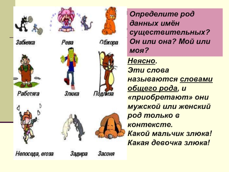 Урок имена. Слова общего рода. Определить род. Общий род существительных. Задания по существительным общего рода.