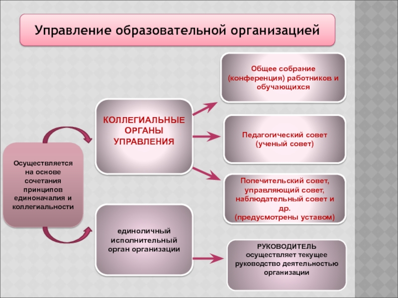 Учебный план специального образования на уровне дошкольного образования