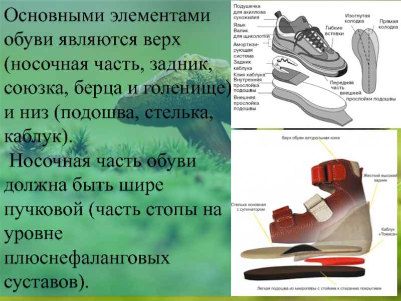 Название подошвы обуви. Детали обуви. Основные детали обуви. Союзка на ботинках. Составные части ботинка.