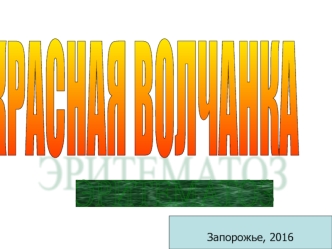 Красная волчанка