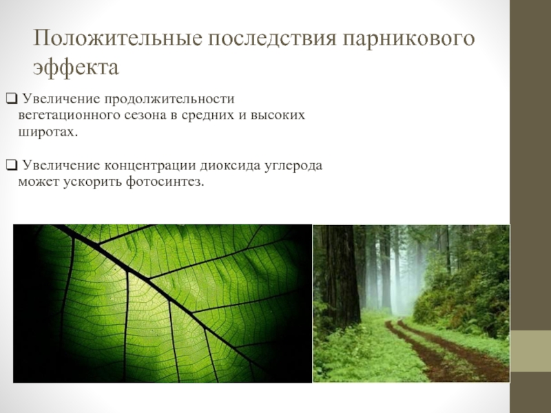 Увеличение эффекта. Последствия усиления парникового эффекта. Парниковый эффект и фотосинтез. Положительные качества парникового эффекта. Явление увеличения концентрации.