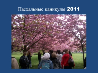 Пасхальные каникулы 2011