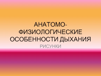 Анатомо-физиологические особенности дыхания