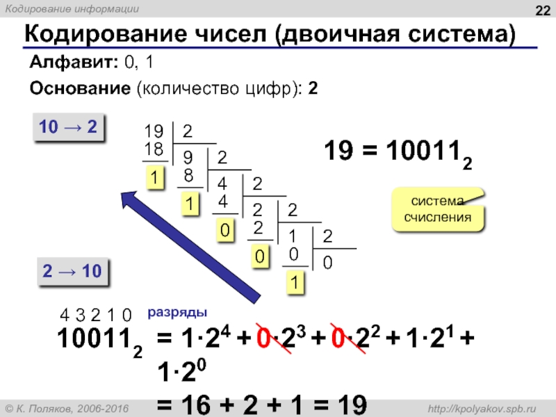 Кодирование чисел. Кодирование чисел двоичная система. Как закодировать число в двоичной системе. Степени двоичной системы. Кодировка чисел в двоичной системе счисления.