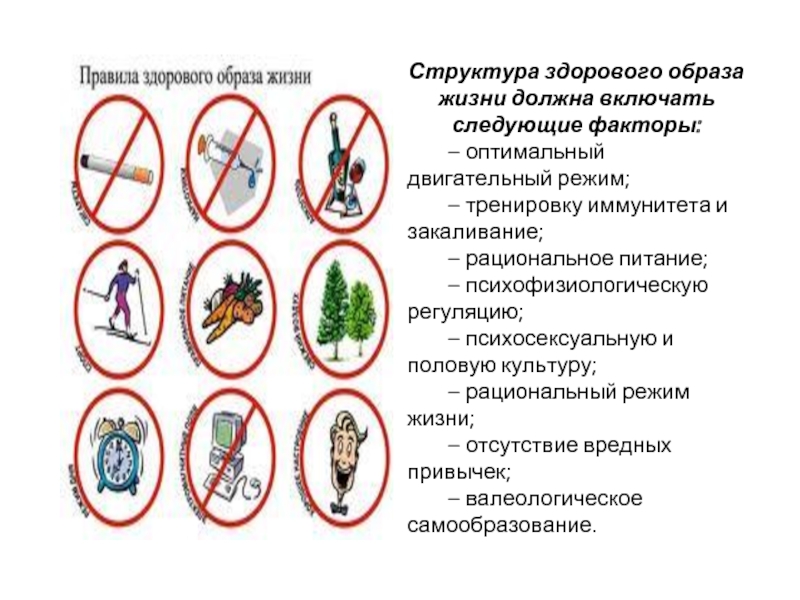 Реферат: Валеология учение о здоровье и здоровом образе жизни