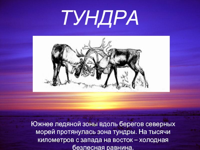 Презентация на тему ледяные пустыни и тундры