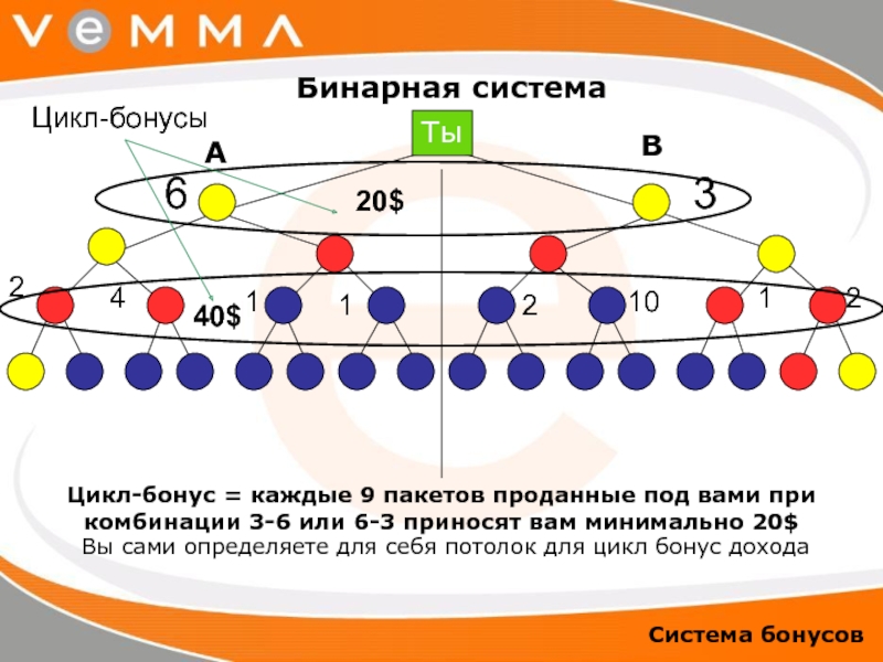 Бинарный бизнес план