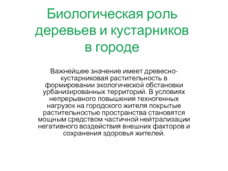 Биологическая роль деревьев и кустарников в городе